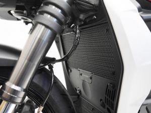 Ducati Streetfighter V2 (2022+) Evotech Performance Radiator Guard